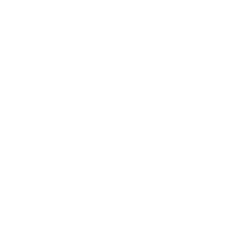 SS_Footerlogo